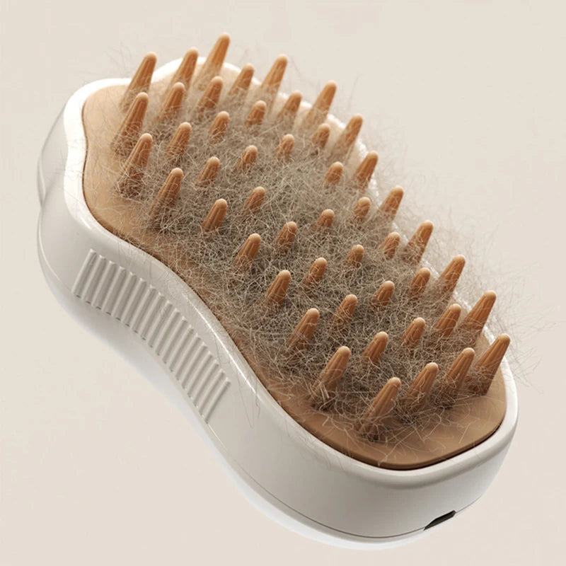 Brosse Vapeur