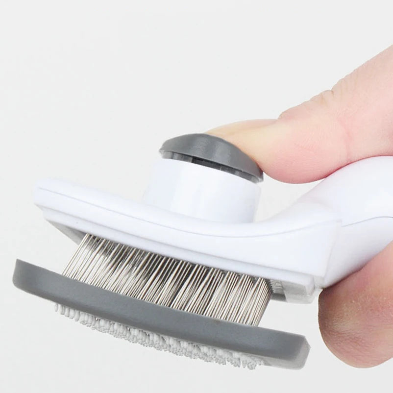 Brosse autonettoyante